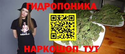первитин Бийск